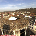 09_40-nest.jpg