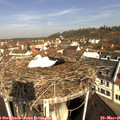 09_45-nest.jpg