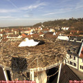 09_55-nest.jpg