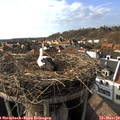 16_25-nest.jpg
