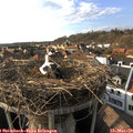 16_35-nest.jpg