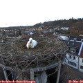 18_30-nest.jpg