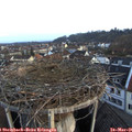 06_35-nest.jpg