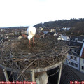 07_00-nest.jpg