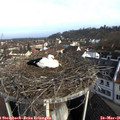 08_15-nest.jpg