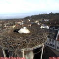 08_20-nest.jpg