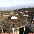 08_25-nest.jpg