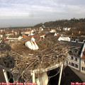 09_15-nest.jpg