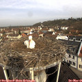 09_45-nest.jpg