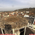 09_55-nest.jpg