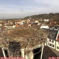 10_00-nest.jpg