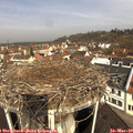 10_05-nest.jpg