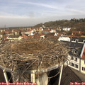 10_10-nest.jpg