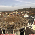 10_15-nest.jpg