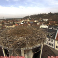 10_30-nest.jpg