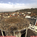 10_35-nest.jpg