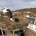 12_55-nest.jpg