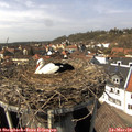 14_00-nest.jpg