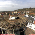 14_05-nest.jpg
