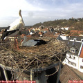 14_10-nest.jpg