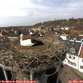 14_15-nest.jpg