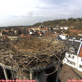 14_20-nest.jpg