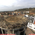 14_30-nest.jpg