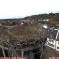 14_40-nest.jpg