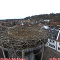14_55-nest.jpg