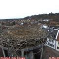 15_00-nest.jpg