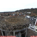 15_05-nest.jpg