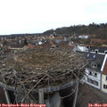 15_15-nest.jpg