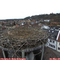 15_25-nest.jpg