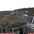 15_35-nest.jpg