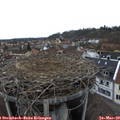 15_40-nest.jpg