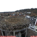 15_55-nest.jpg