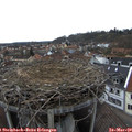 16_00-nest.jpg