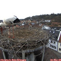 16_10-nest.jpg