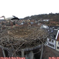 16_30-nest.jpg