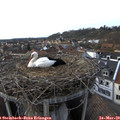 16_55-nest.jpg