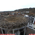 17_35-nest.jpg