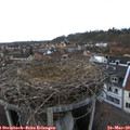 17_45-nest.jpg