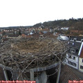17_55-nest.jpg