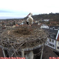 08_00-nest.jpg