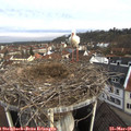 08_20-nest.jpg