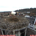 08_35-nest.jpg