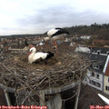 10_05-nest.jpg