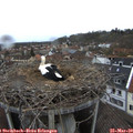 13_35-nest.jpg