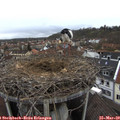 14_00-nest.jpg