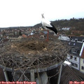 14_05-nest.jpg